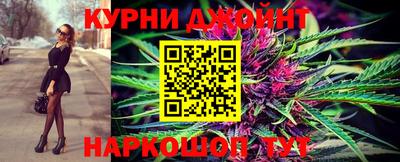 альфа пвп Заводоуковск