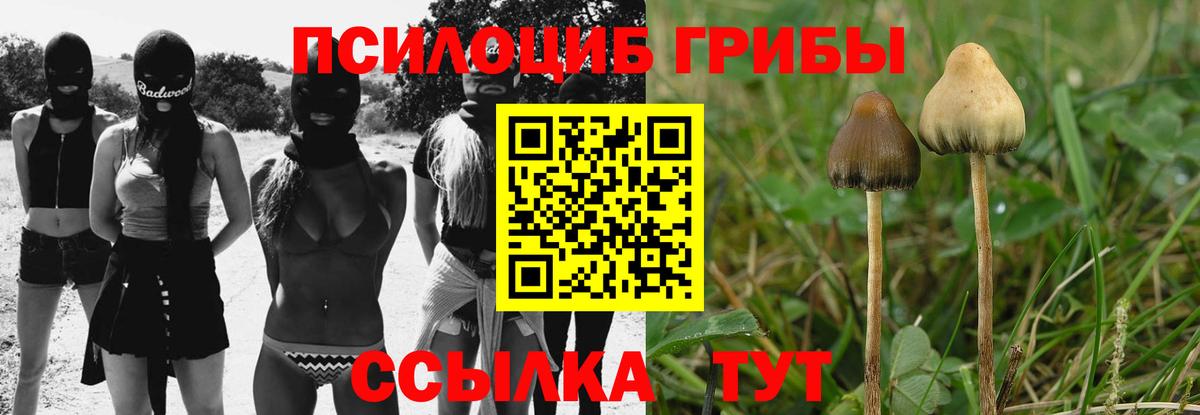 Галлюциногенные грибы Cubensis  Галлюциногенные грибы MAGIC MUSHROOMS  Орехово-Зуево  Вход с VPN 