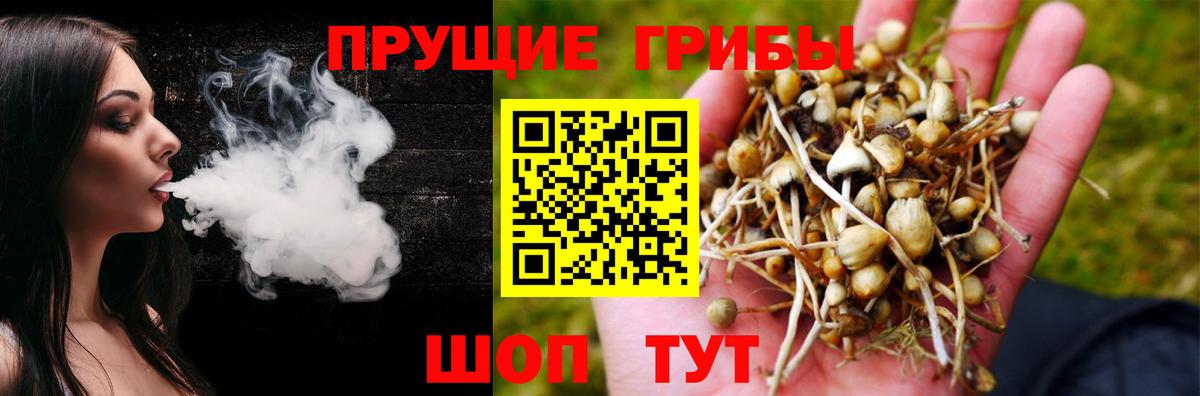 Псилоцибиновые грибы прущие грибы Орехово-Зуево
